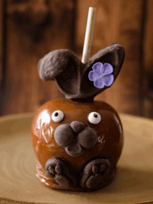 Chocolate Bunny Gourmet Apple
