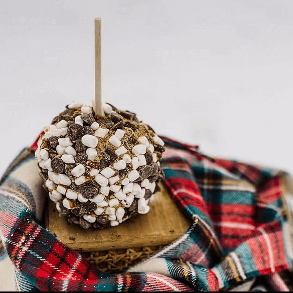 Smores Caramel Apple on wooden block on plaid scarf in snow