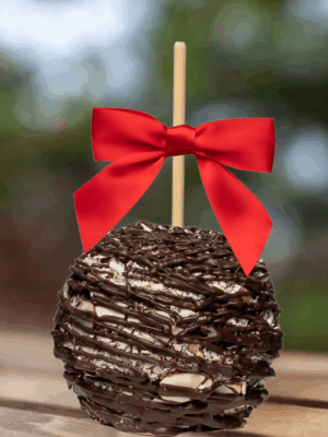 almond coconut dark chocolate gourmet caramel apple with red bow