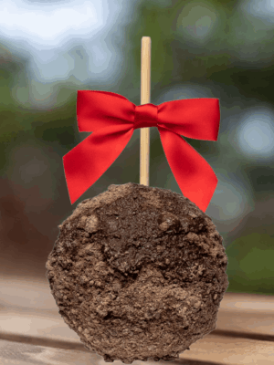 dark chocolate sea salt apple