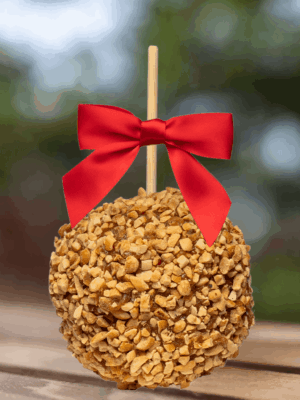 Heather's Gourmet Caramel Apple Roasted Peanut