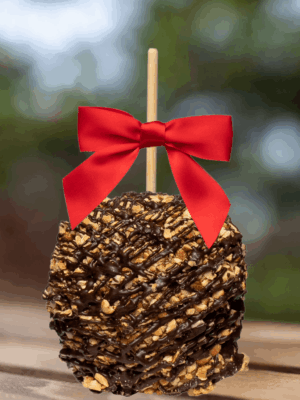 peanut dark chocolate caramel apple