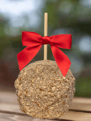 pretzel gourmet caramel apple