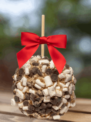 smores gourmet caramel apple