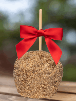 twix gourmet caramel apple