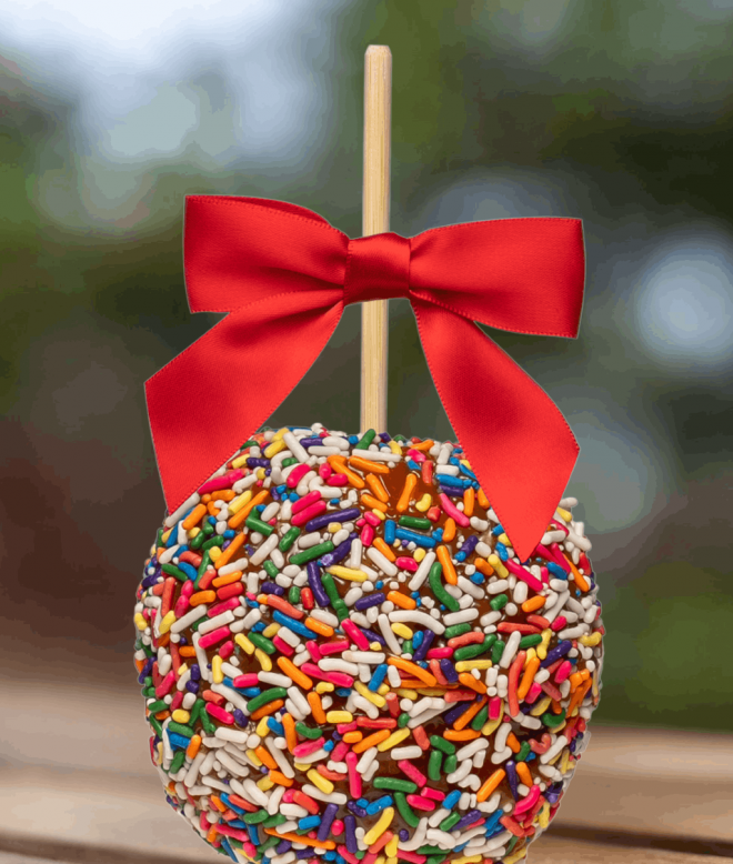 Gourmet Caramel Apple covered in sprinkles